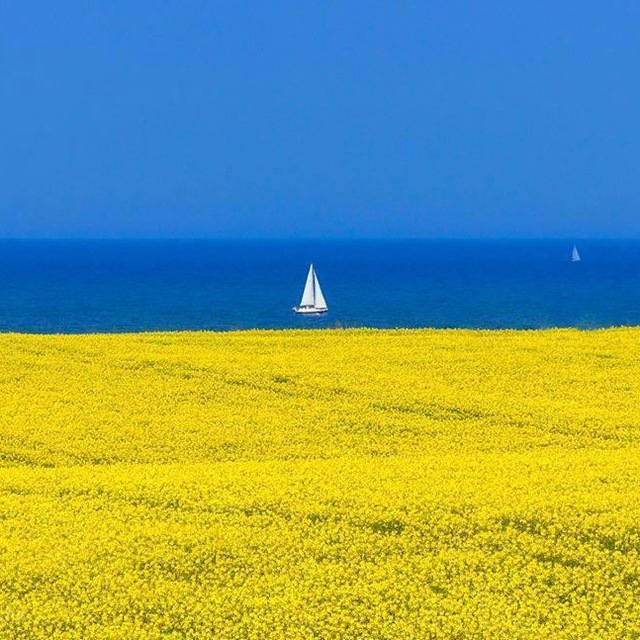 National Geographic Ukraine